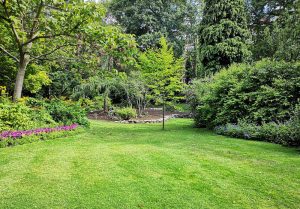 Optimiser l'expérience du jardin à Pouillenay